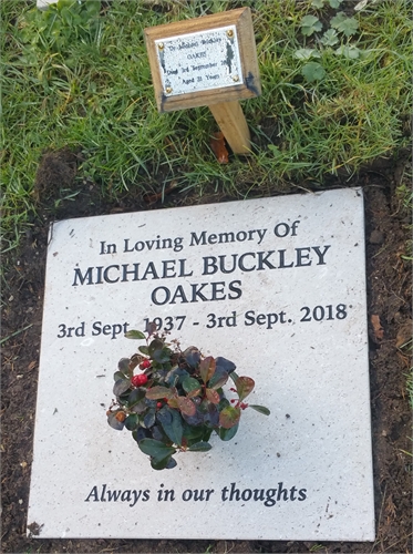 Photo of the grave of DR MICHAEL BUCKLEY OAKES