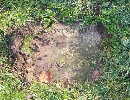 Photo of the grave of IRENE PARRISH