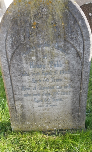 Photo of the grave of HENRY TUBB