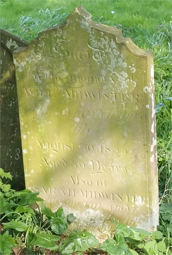 Photo of the grave of WILLIAM MIDWINTER