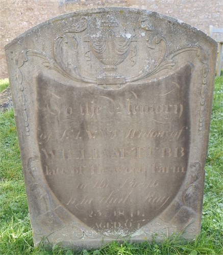 Photo of the grave of (FANNY) FRANCES TUBB