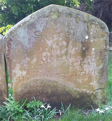 Photo of the grave of JOHN ADAMS