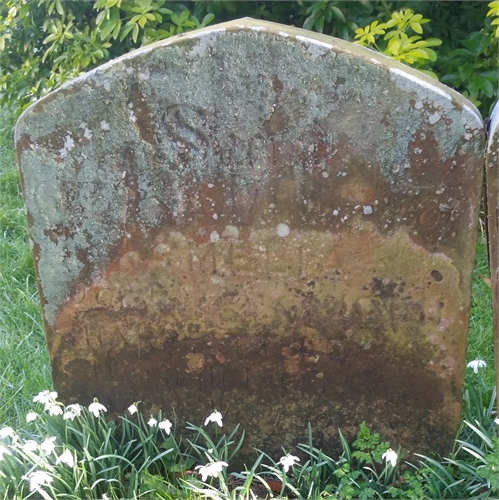 Photo of the grave of AMELIA ADAMS