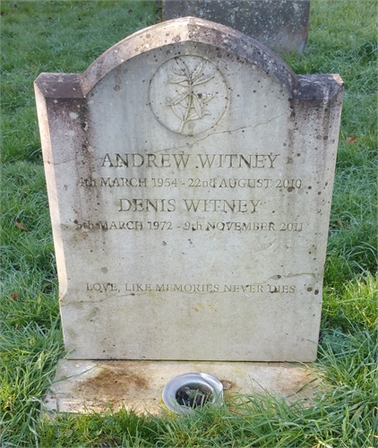 Photo of the grave of ANDREW D. WITNEY