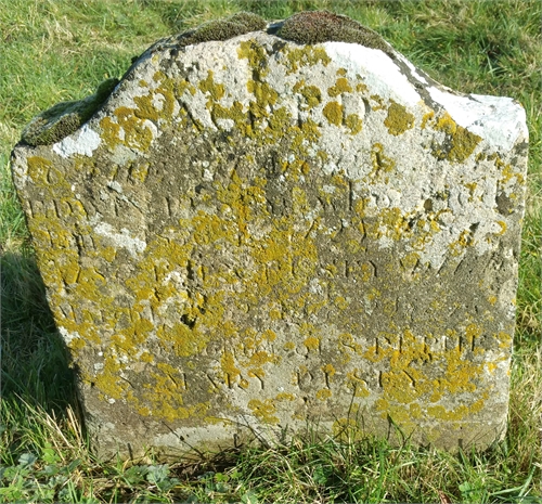 Photo of the grave of ELLEN PUSEY