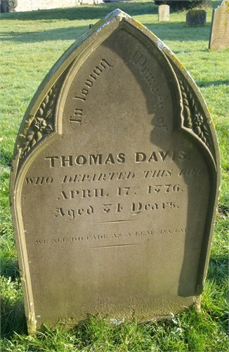 Photo of the grave of THOMAS DAVIS