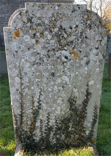 Photo of the grave of CLARENCE SEYMOUR HAYCOCK