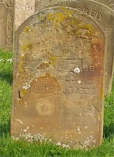 Photo of the grave of WILLIAM TUBB