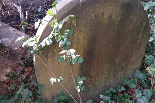 Photo of the grave of LUCY HOWSE