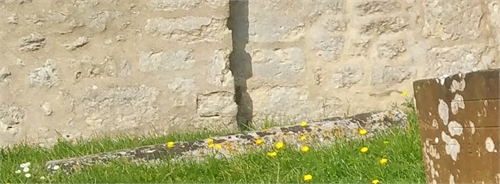 Photo of the grave of LILY DOUGALL