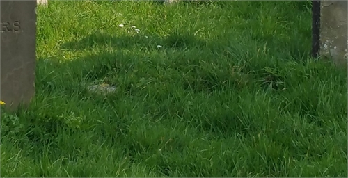 Photo of the grave of CHARLES HEDGES