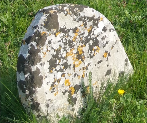 Photo of the grave of UNKNOWN PERSON