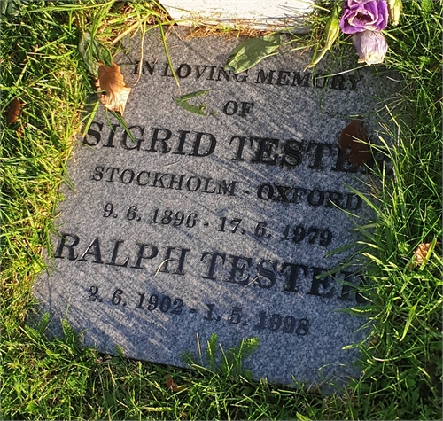 Photo of the grave of RALPH PATERSON TESTER