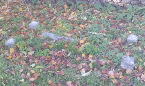 Photo of the grave of IVY HILDA MAUD RIDGE