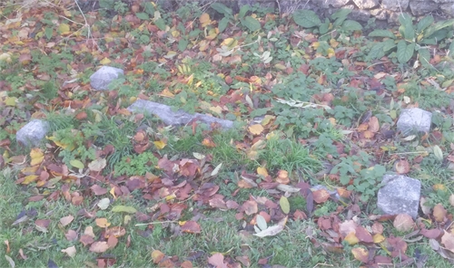 Photo of the grave of ETHEL MAUD MURIEL RIDGE (née FLOYD)