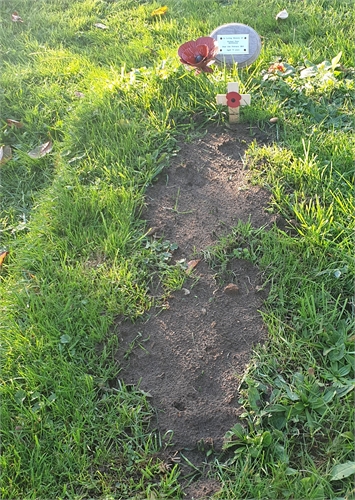 Photo of the grave of (MICK) MICHAEL PETER JENNINGS