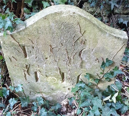 Photo of the grave of ELIZABETH COX