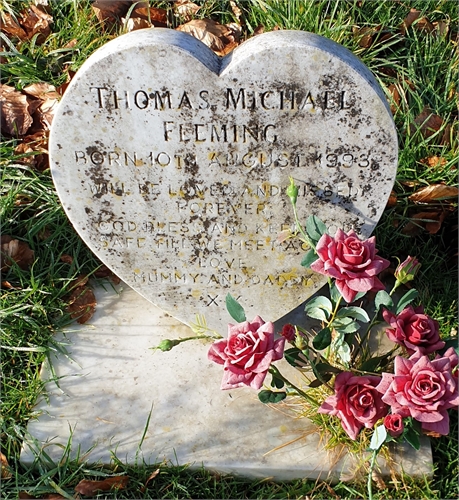 Photo of the grave of THOMAS MICHAEL FLEMING