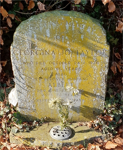 Photo of the grave of ALBERT AMBROSE TAYLOR