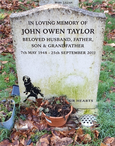 Photo of the grave of JOHN OWEN TAYLOR