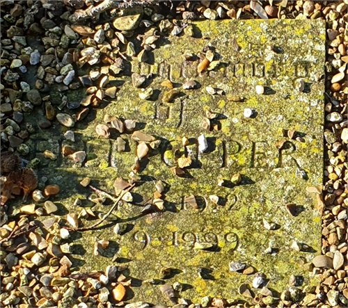 Photo of the grave of NELLI OPPER?