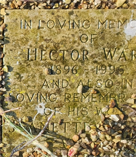 Photo of the grave of JEANETTE MARIE ANNIE WARD (née AUSTIN)