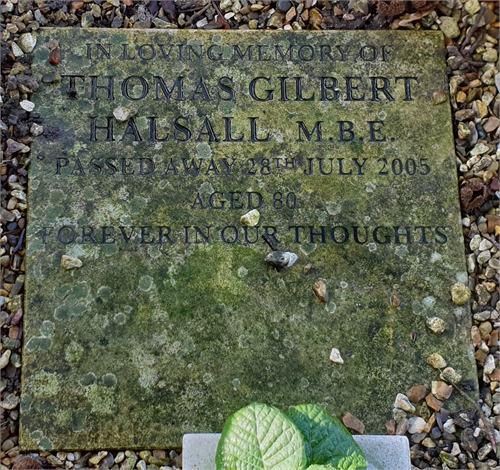 Photo of the grave of THOMAS GILBERT HALSALL M.B.E.