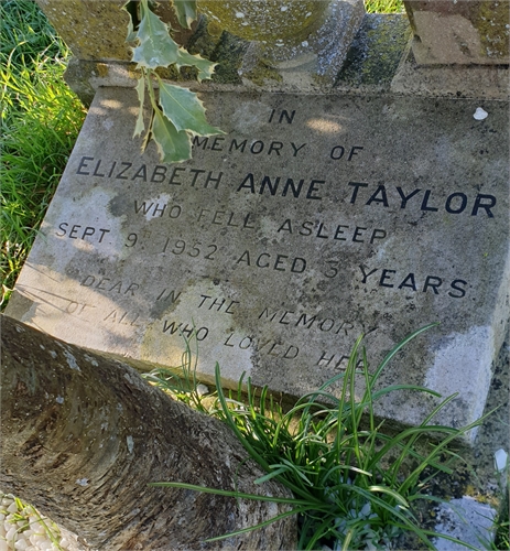 Photo of the grave of ELIZABETH ANNE TAYLOR