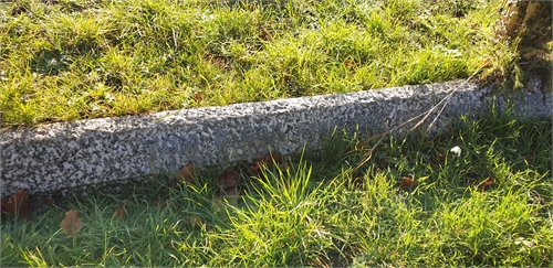 Photo of the grave of TOM S COX