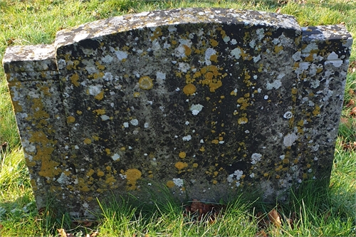 Photo of the grave of FREDERICK