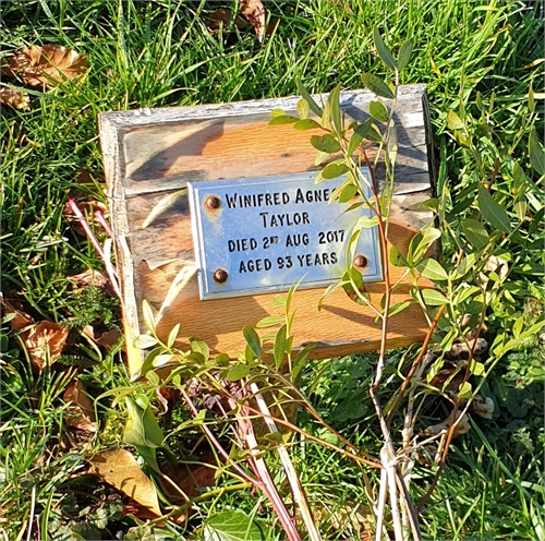 Photo of the grave of WINIFRED AGNES TAYLOR