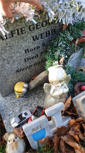 Photo of the grave of ALFIE GEORGE WEBB